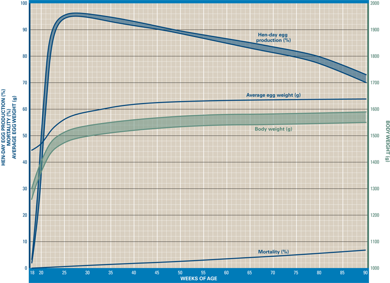Layer performance graph